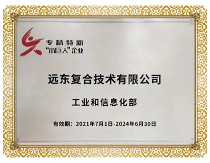 專精特精小巨人企業(yè)