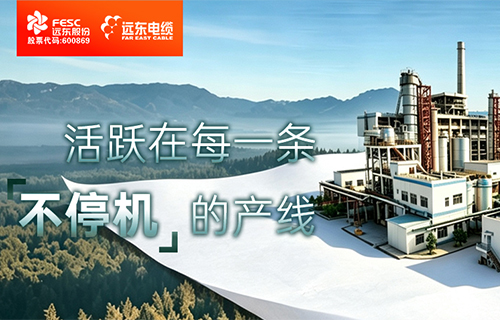 遠東：活躍在每一條“不停機”的產線